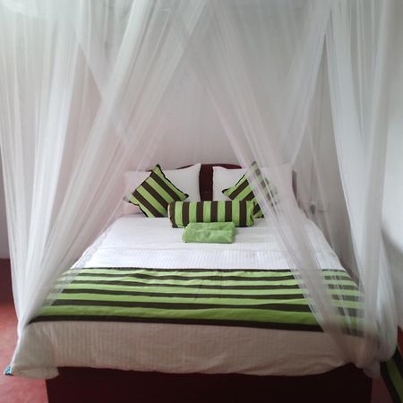 Jungle View Cottage エッラ エクステリア 写真