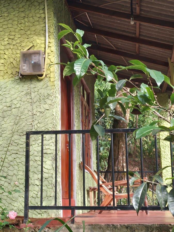 Jungle View Cottage エッラ エクステリア 写真