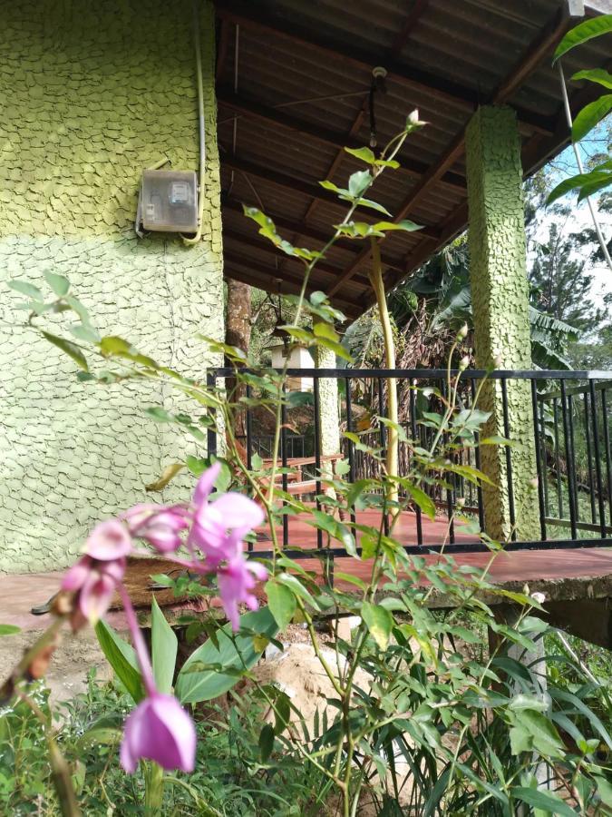 Jungle View Cottage エッラ エクステリア 写真