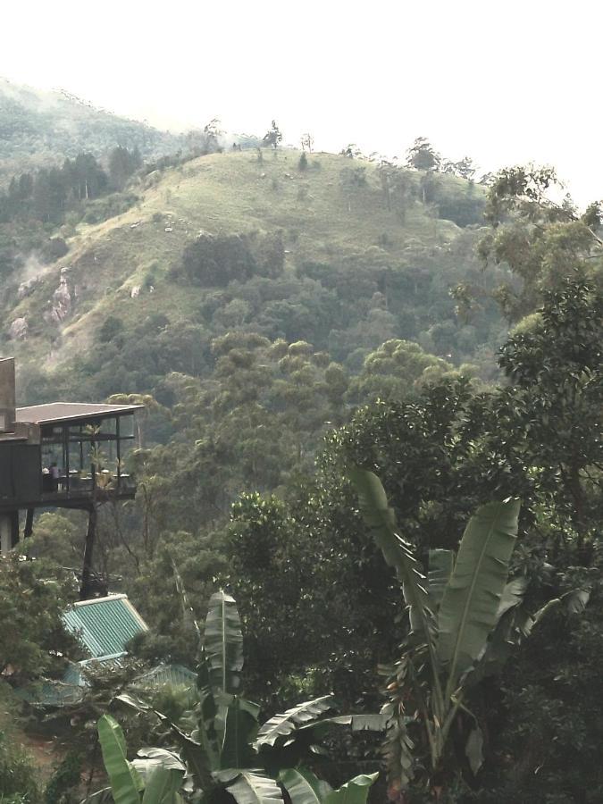 Jungle View Cottage エッラ エクステリア 写真