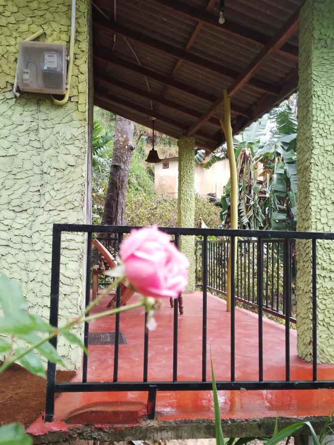 Jungle View Cottage エッラ エクステリア 写真