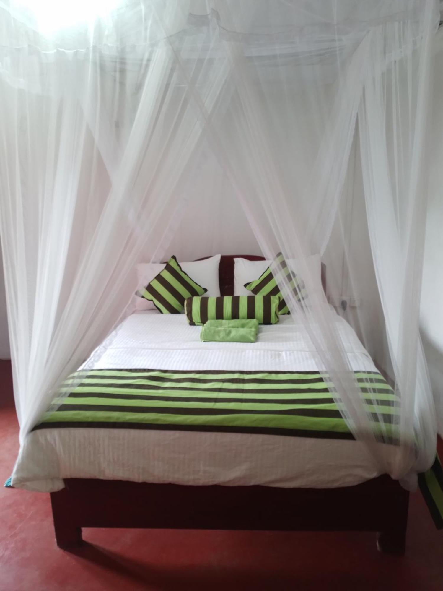 Jungle View Cottage エッラ エクステリア 写真