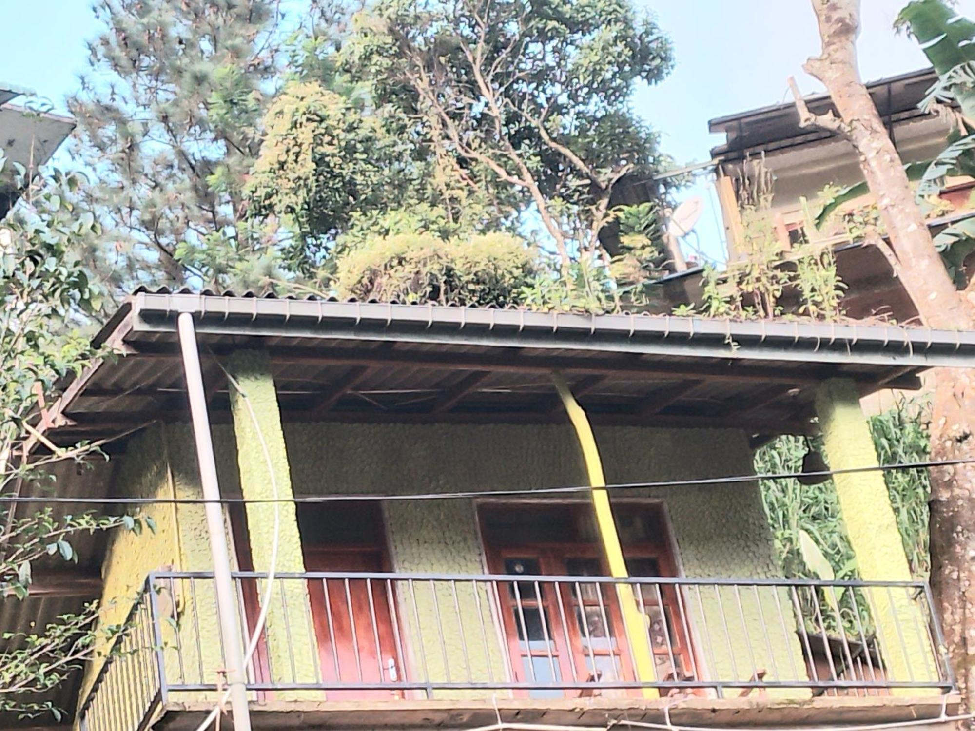 Jungle View Cottage エッラ エクステリア 写真
